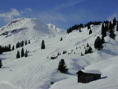 Click to see Skiing02-2002-03-05-10-53-56-20.jpg